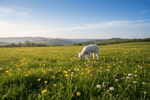 Spring at The Red Squirrel: Fresh Gift Ideas, New Makers & Little Joyful Treats - The Red Squirrel