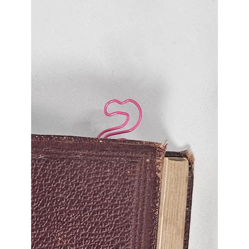 20 Flamingo Paper clips in a tin. - paper clips