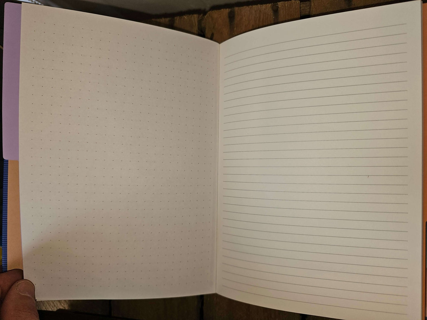 Divider Notebook with Ruler - Lined and Dotted Paper - The Red Squirrel