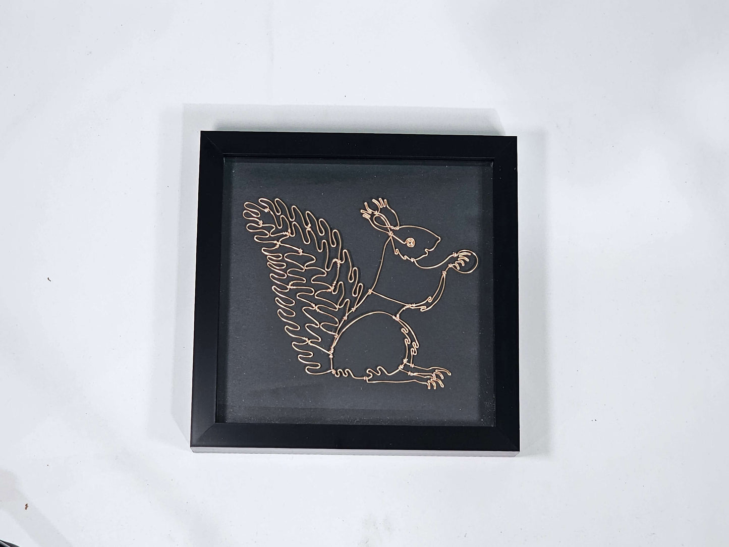 Framed Squirrel made from wire