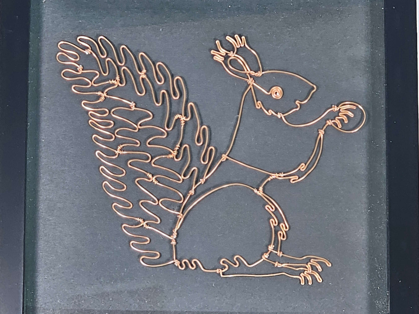 Framed Squirrel made from wire