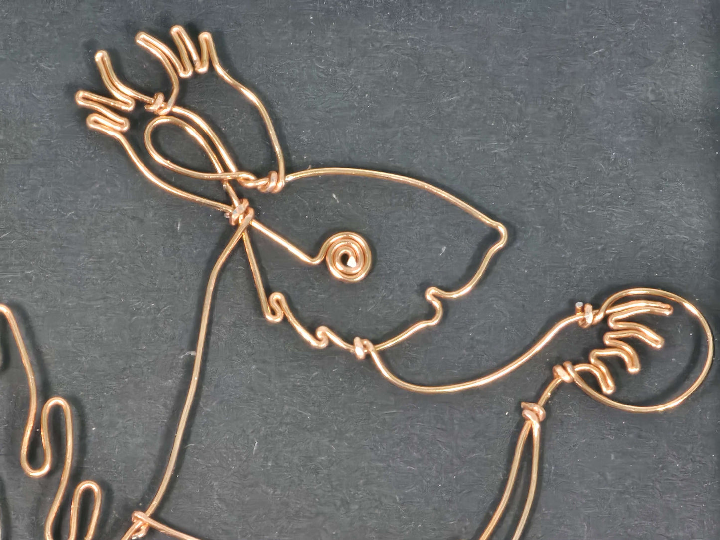 Framed Squirrel made from wire
