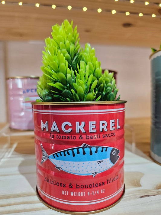 Red mackerel can with green plant on a wooden surface