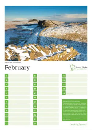 Calendar for February with a scenic winter landscape and Steve Blake logo.