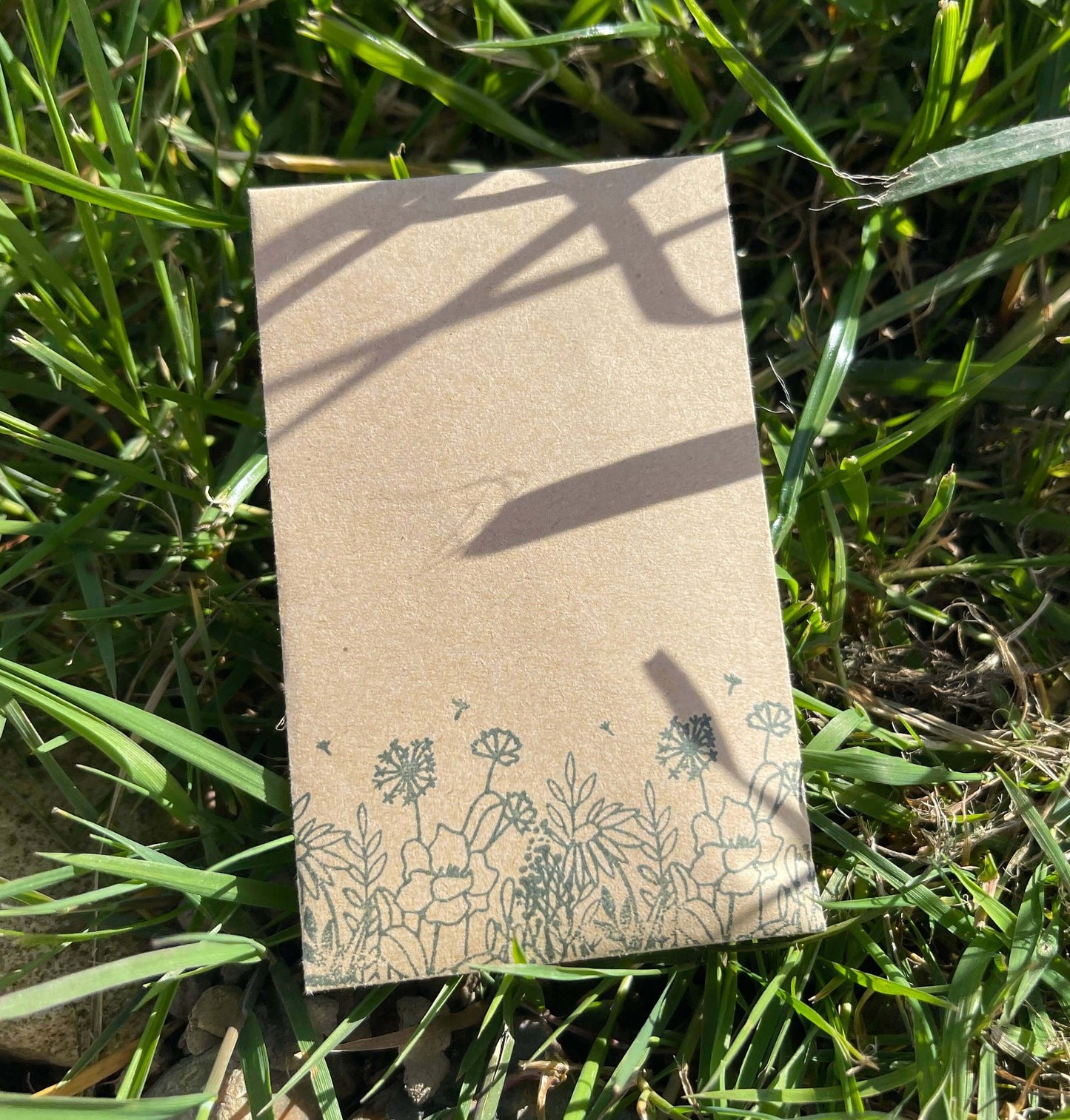 Wildflower Seed Packets - Seed Envelopes