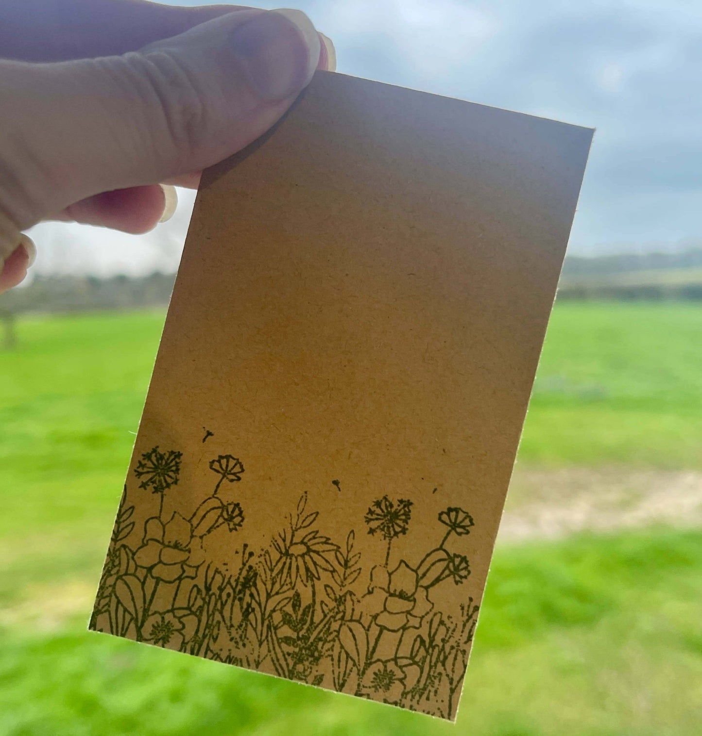Wildflower Seed Packets - Seed Envelopes