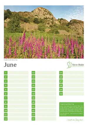 Calendar page for June with a scenic view of mountains and flowers, featuring the artist's name Steve Blake.
