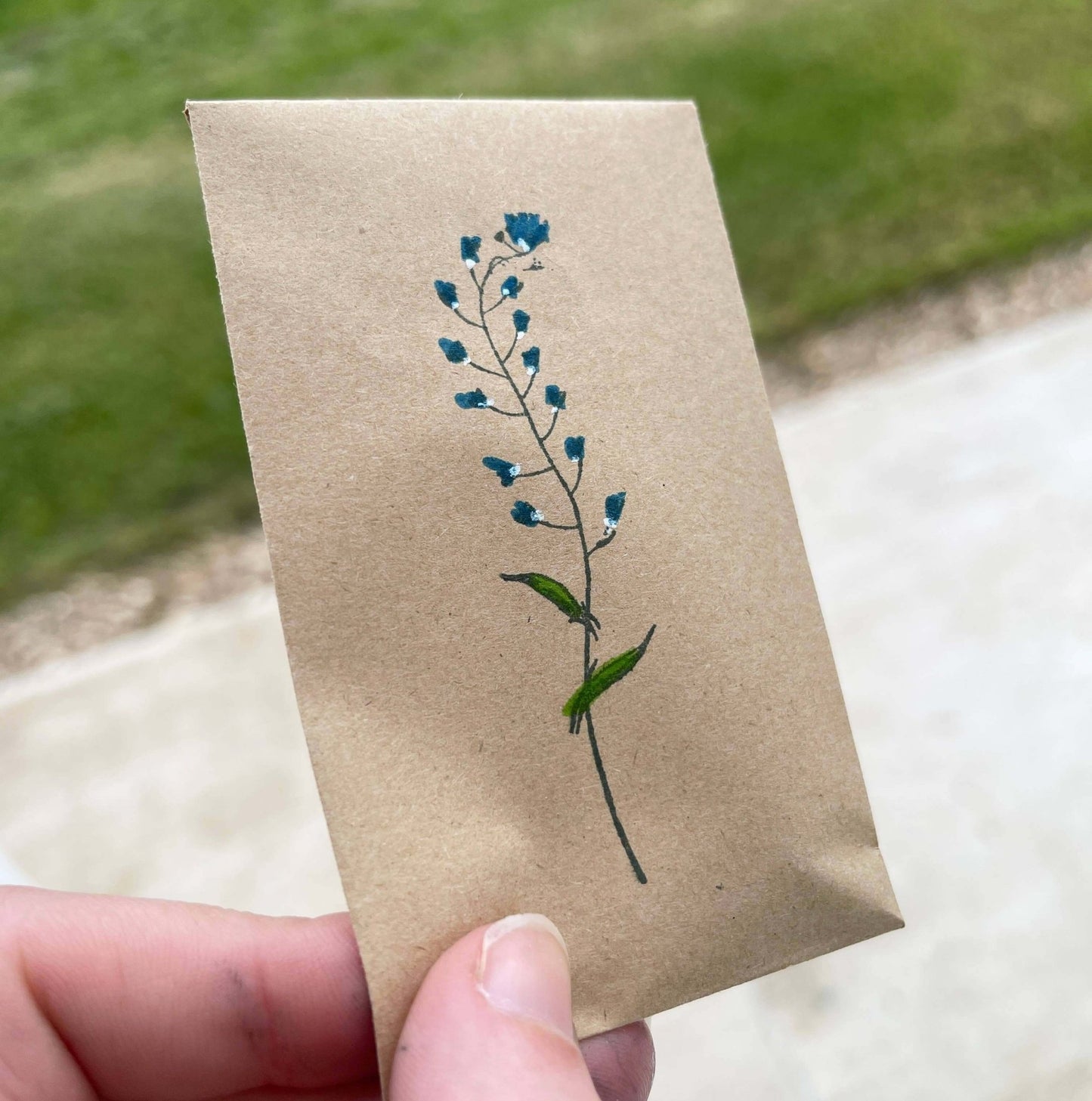 Wildflower Seeds - Forget Me Not Pattern - Seed Packets - The Red Squirrel