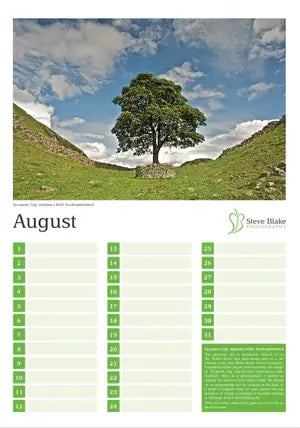 Calendar page for August with a scenic landscape of a tree on a hillside.