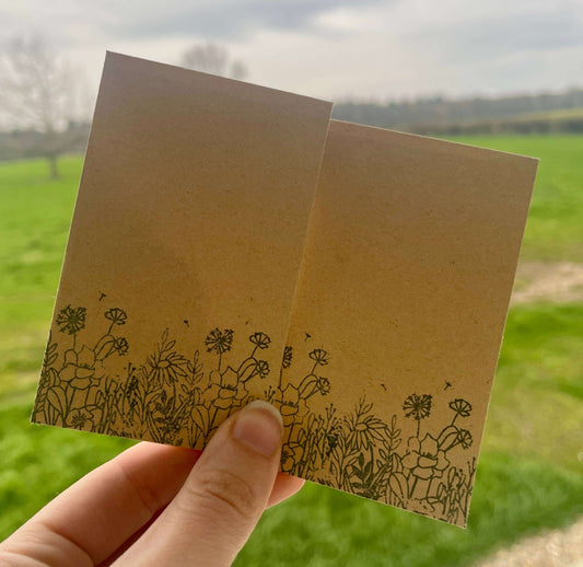 Wildflower Seed Packets - Seed Envelopes
