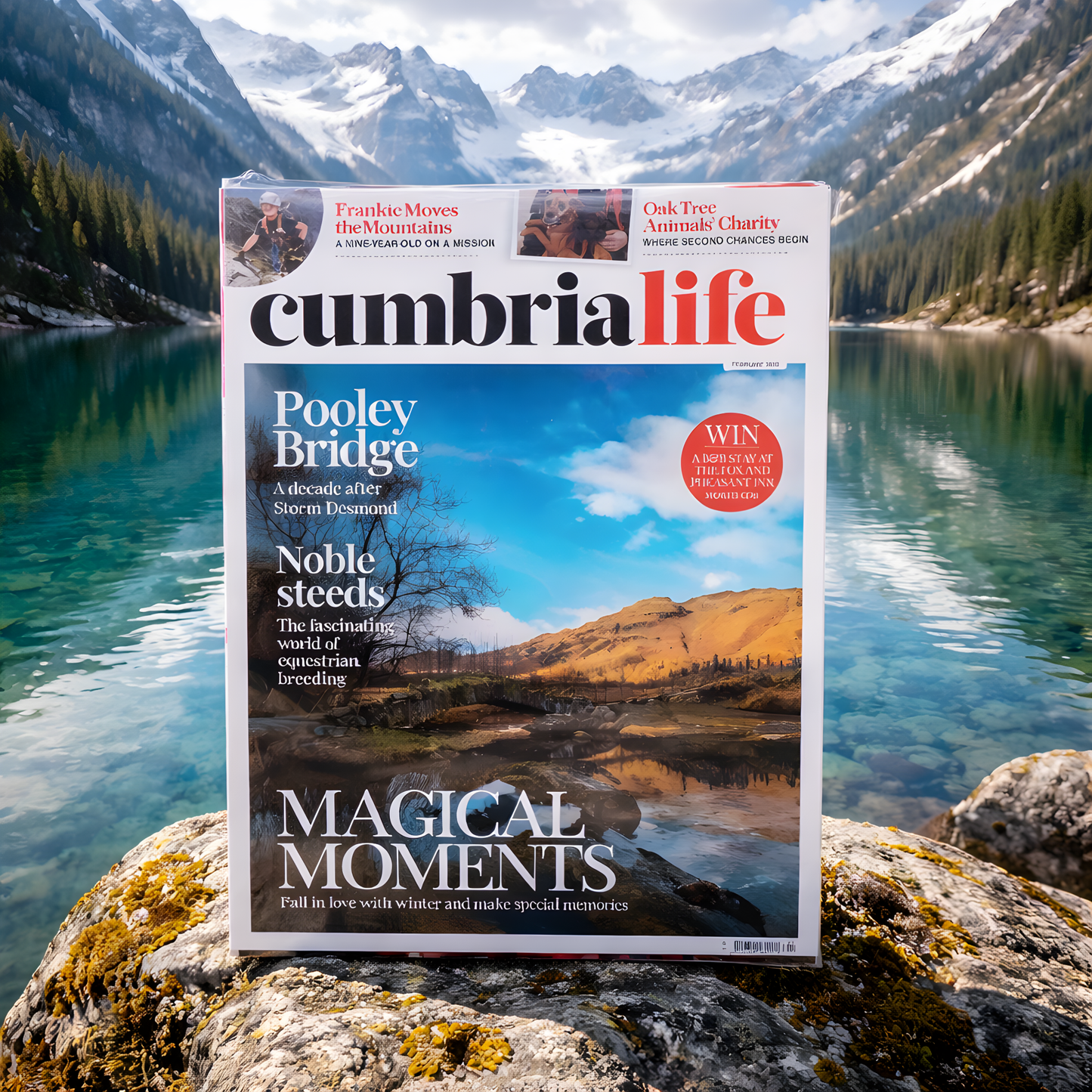 Cumbria Life - Monthly Magazine - February issue - The Red Squirrel