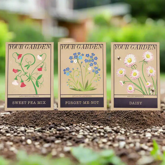 sweet pea, forget-me-not and daisy seed packs