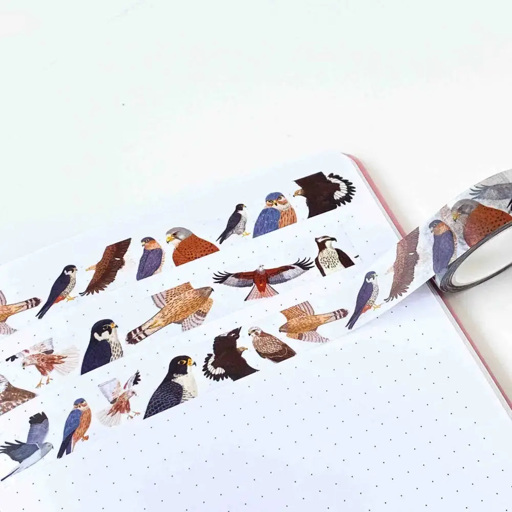 British Birds of Prey Washi Tape