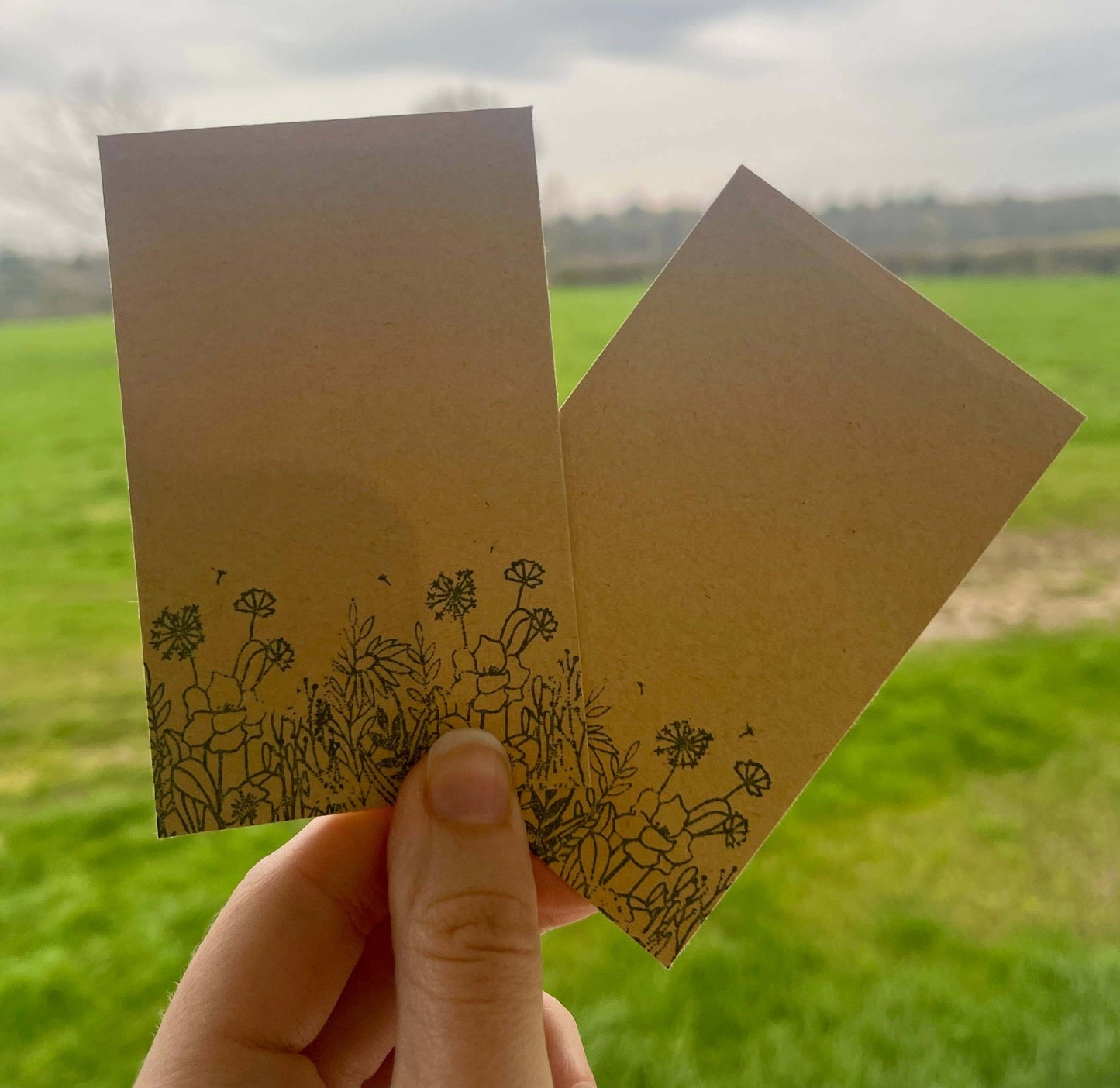 Wildflower Seed Packets - Seed Envelopes