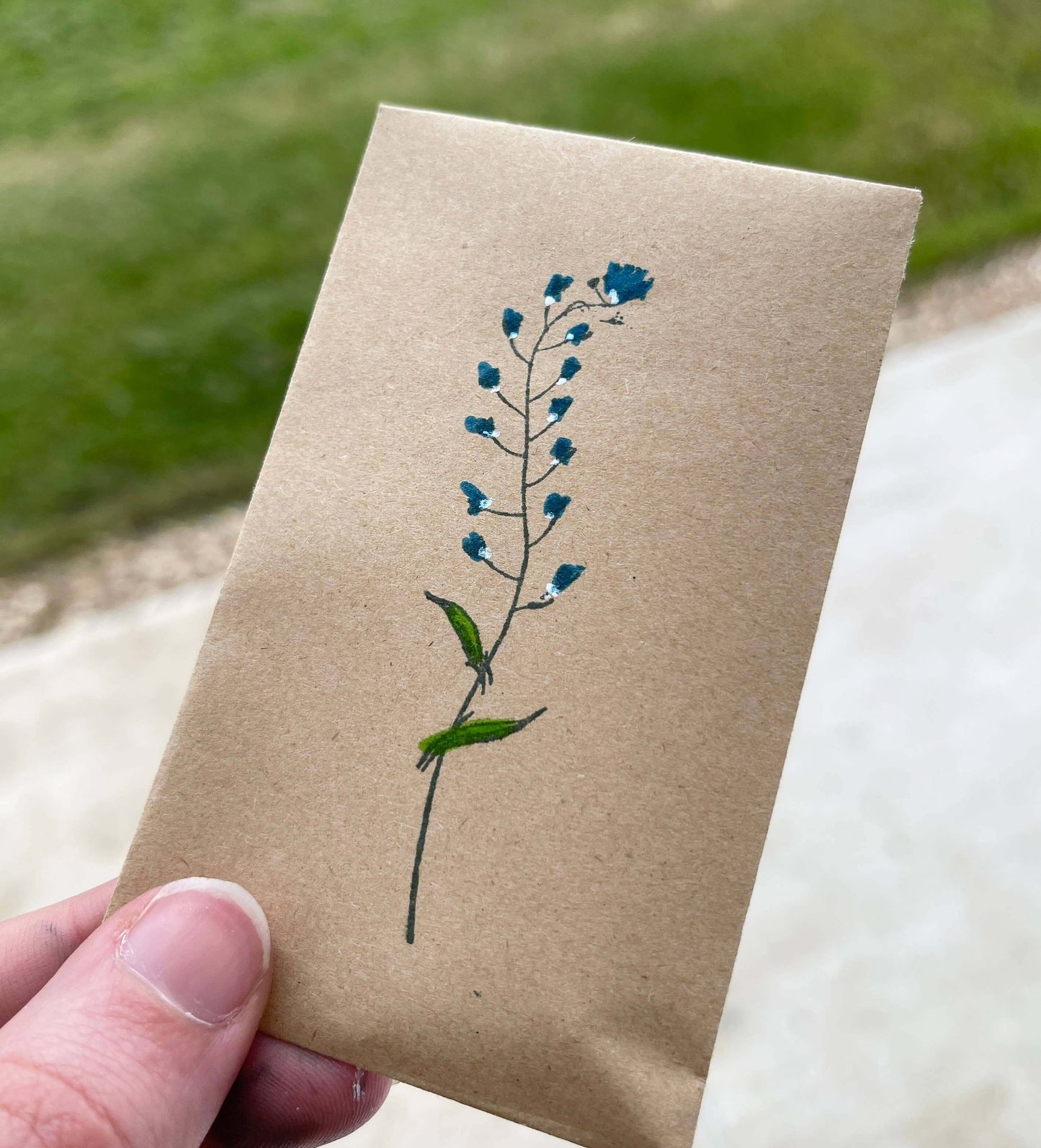 Wildflower Seeds - Forget Me Not Pattern - Seed Packets
