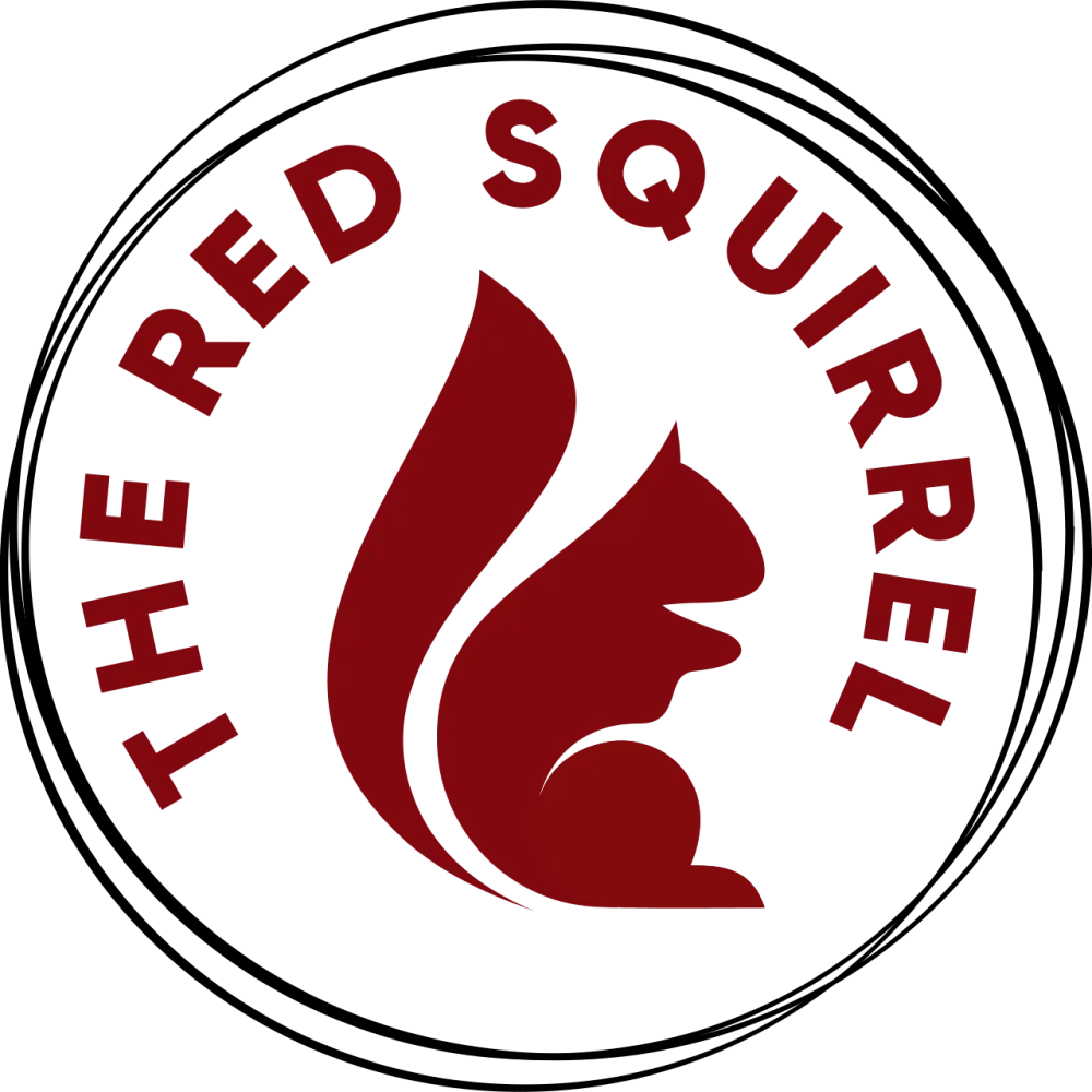 Embroidered Heart Felt Craft Mini Kit - The Red Squirrel