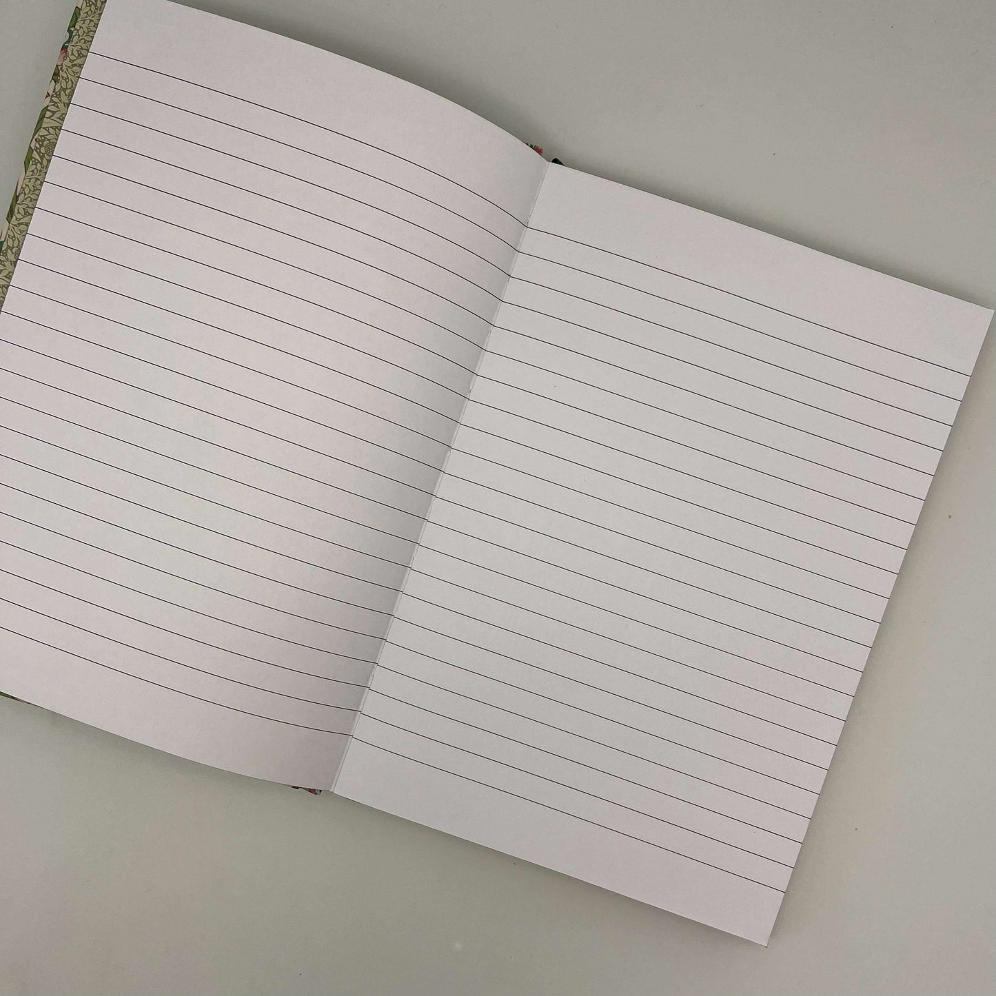 Open notebook with lined pages on a plain background