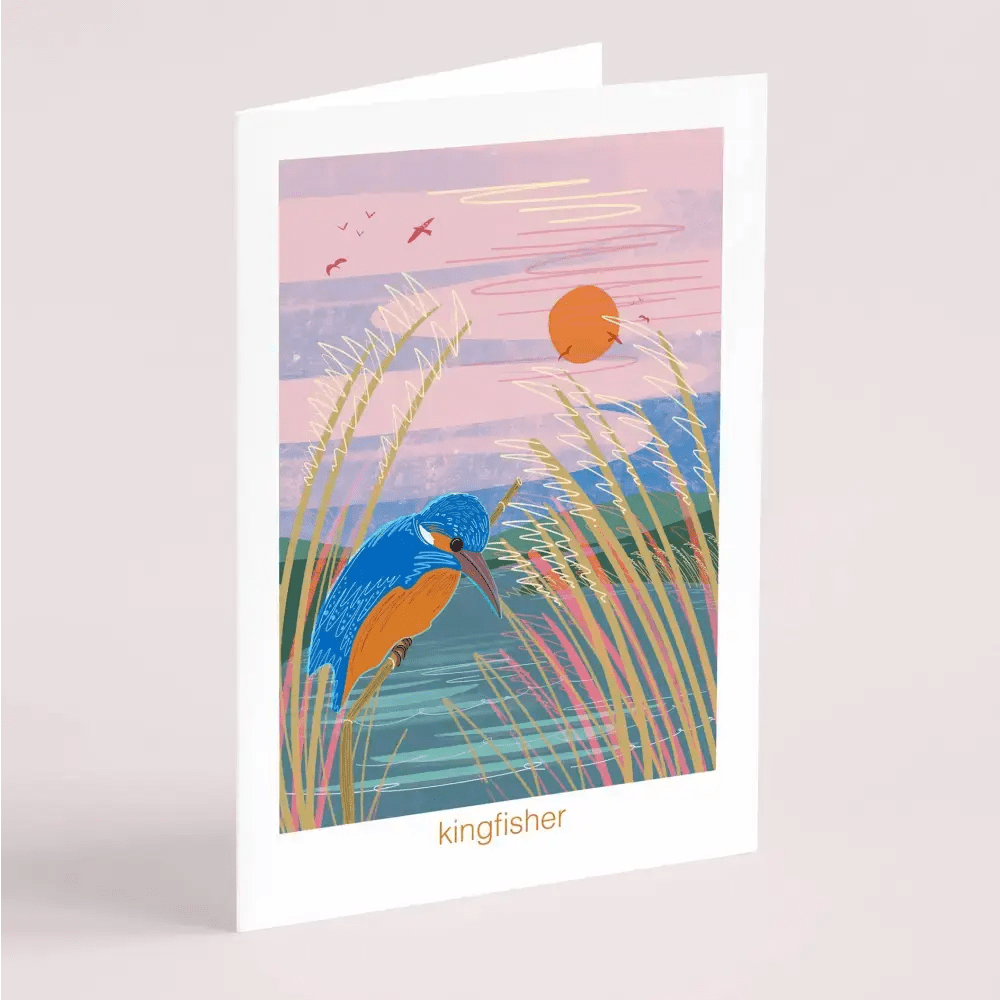 Kingfisher - greeting card - The Red Squirrel