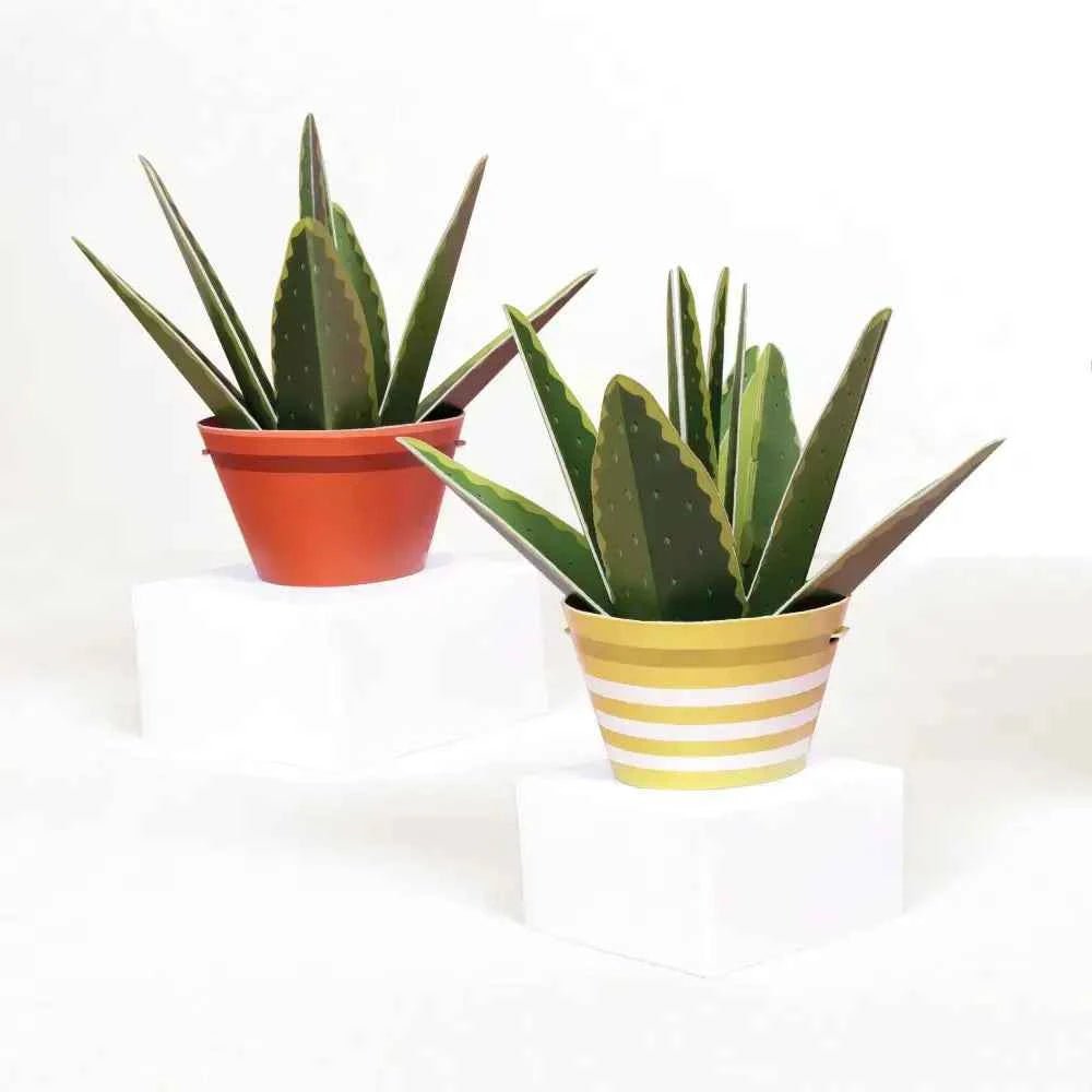 Make Your Own Healing Aloe Vera Paper Plant - The Red Squirrel