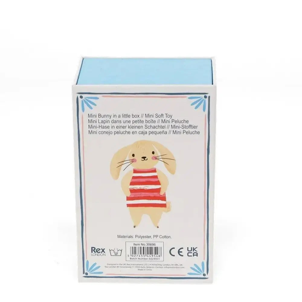 Mini Bunny In A Little Box