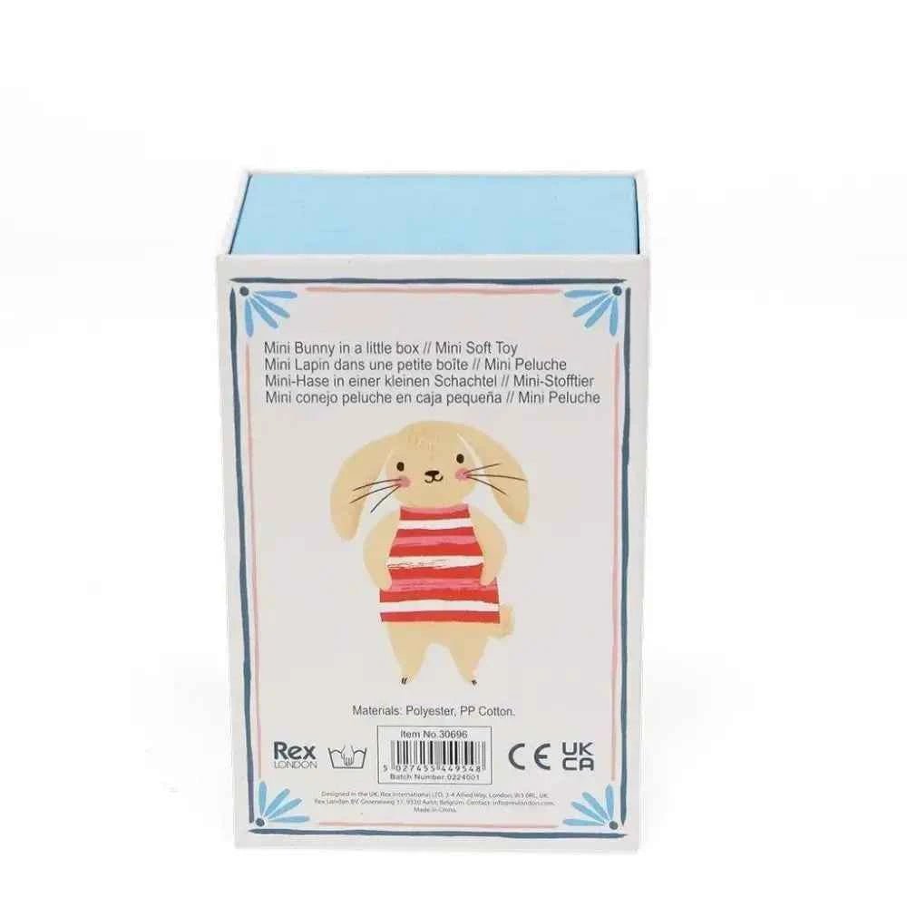 Mini Bunny In A Little Box - The Red Squirrel