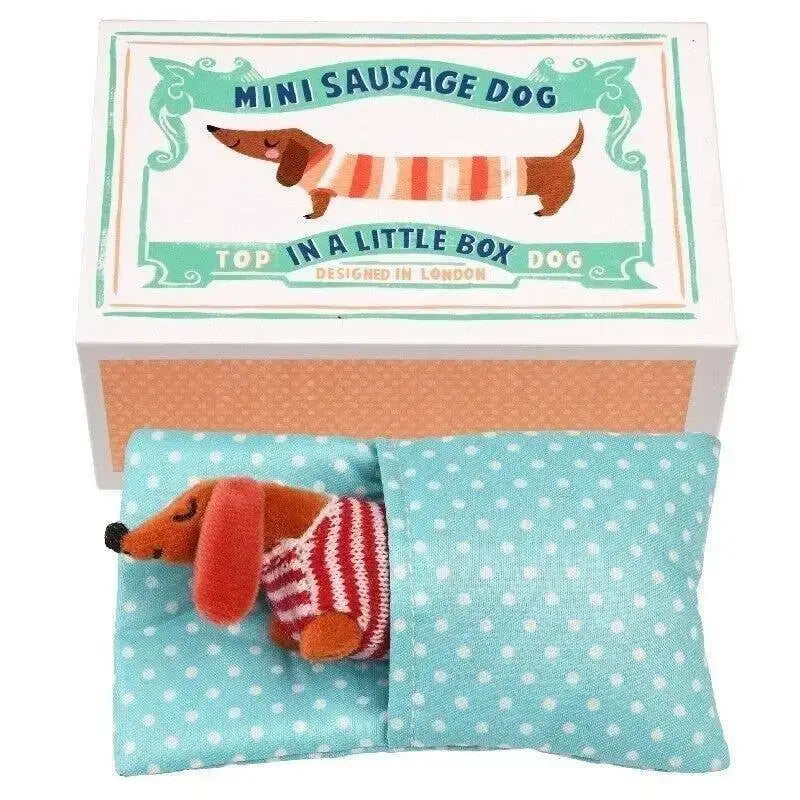 Mini Sausage Dog In A Little Box