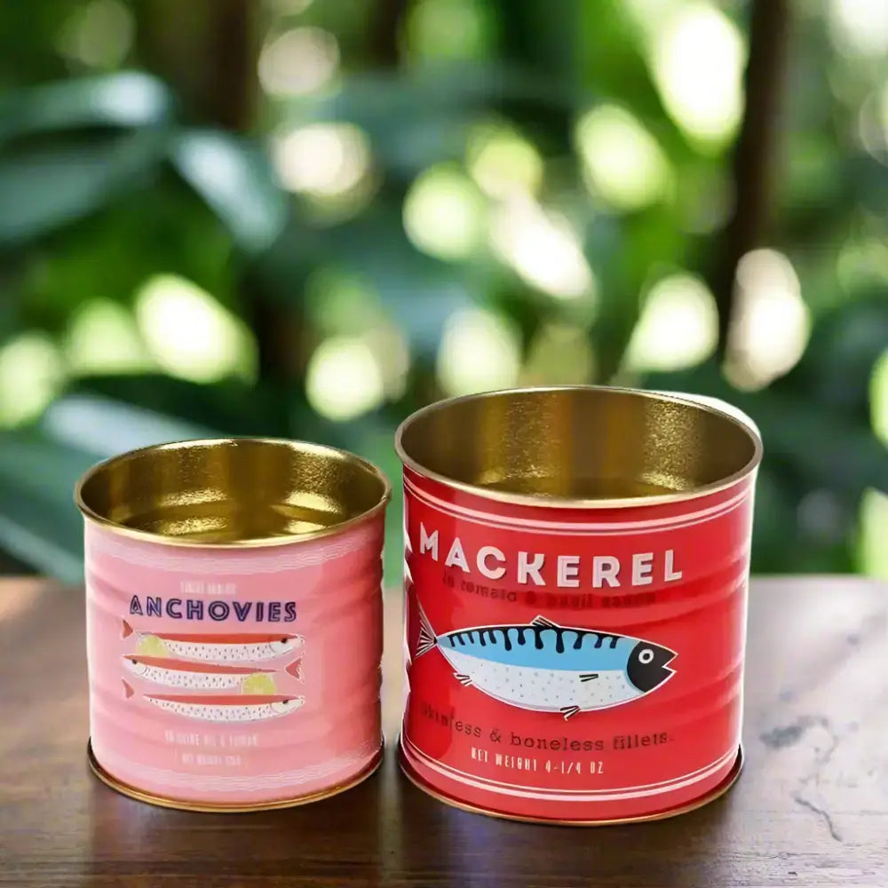 Mini Storage Tins (Set of 2) - Fish themed storage/display tins