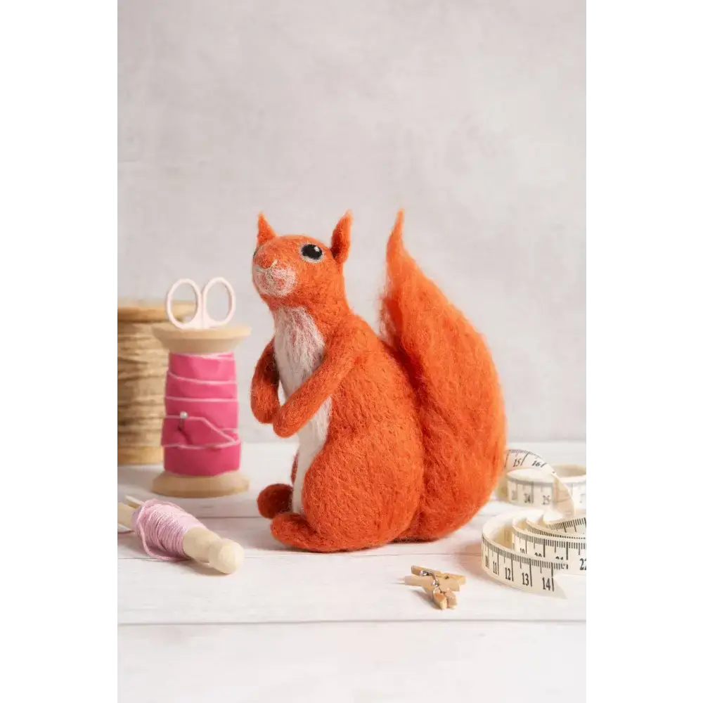 Red Squirrel Needle Felting Kit | Beginner Craft Kit