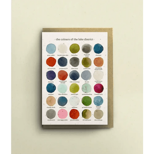 The Colours of the Lake District Greetings Card - The Red Squirrel