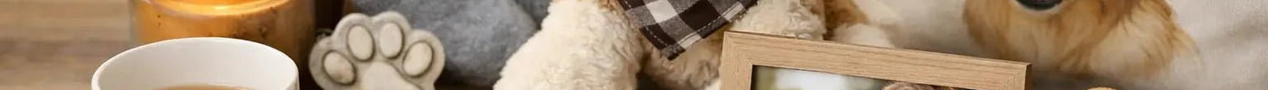 15 Thoughtful Gifts for Dog Lovers