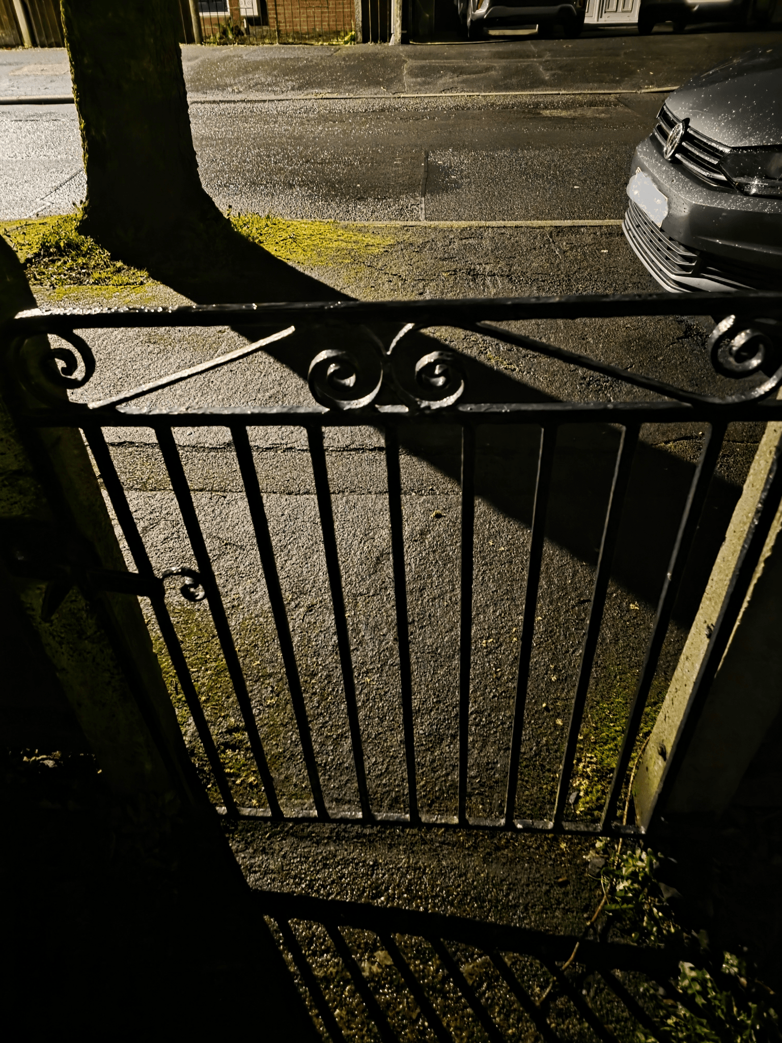 Hard Work Before Sunrise: My Reality as a Business Owner - The Red Squirrel
