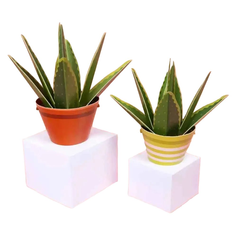 Gardening gifts - The Red Squirrel