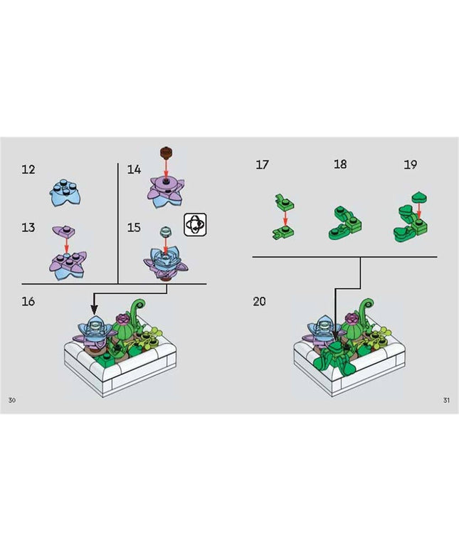 LEGO® Botanicals™: Tiny Desert Garden Book - Gardening Gift