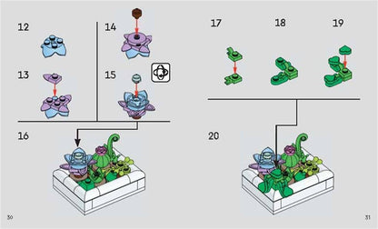 LEGO® Botanicals™: Tiny Desert Garden Book - Gardening Gift