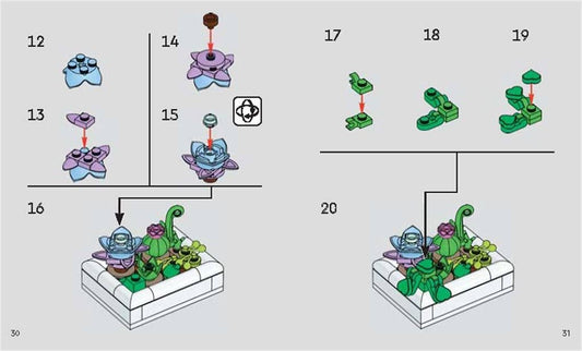 LEGO® Botanicals™: Tiny Desert Garden Book - Gardening Gift
