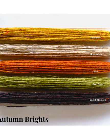 Donegal weaving yarn - 100% wool Autumn Brights