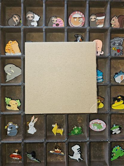 Mystery pin badges displayed in a compartment box, with a blank space for a surprise badge.