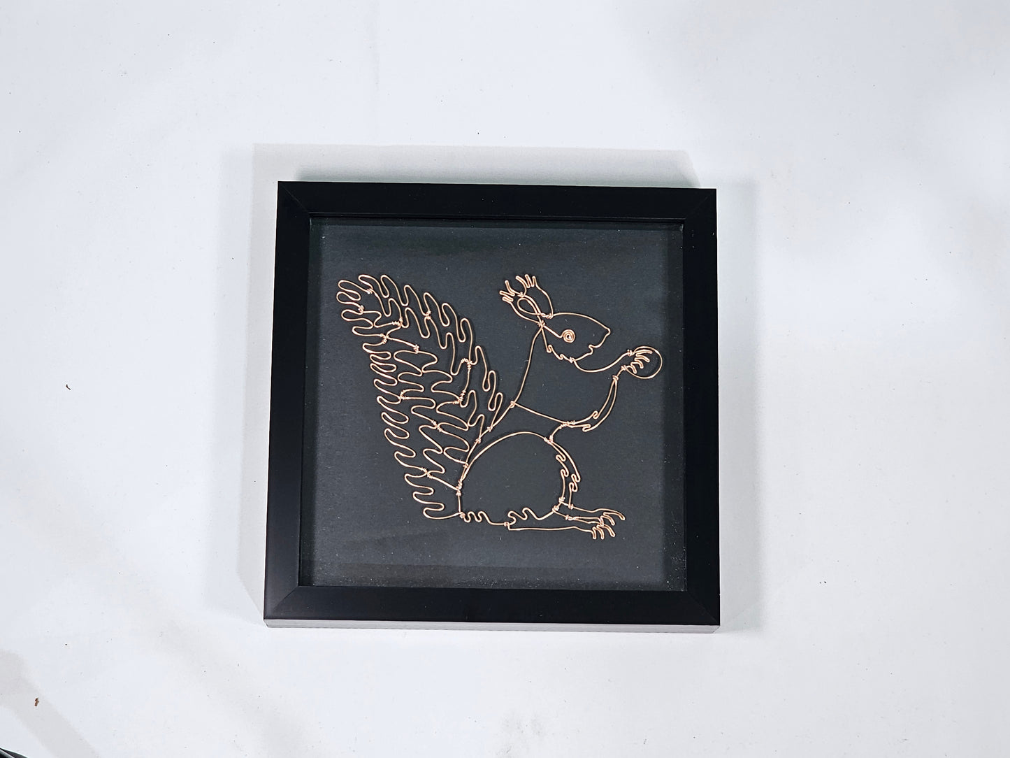 Framed Squirrel made from wire