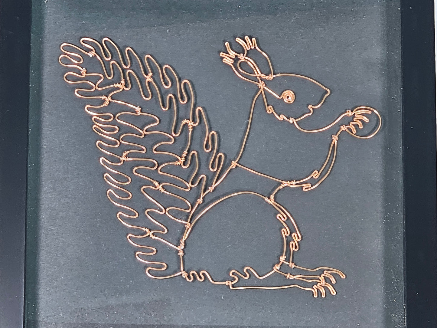 Framed Squirrel made from wire