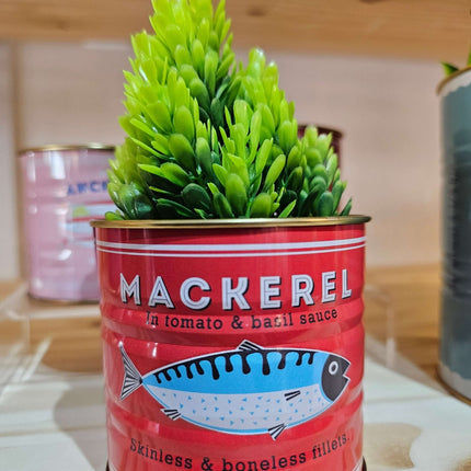 Mini Storage Tins (Set of 2) - Fish themed storage/display tins