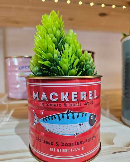 Mini Storage Tins (Set of 2) - Fish themed storage/display tins