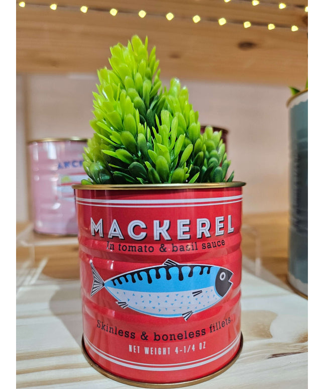 Mini Storage Tins (Set of 2) - Fish themed storage/display tins