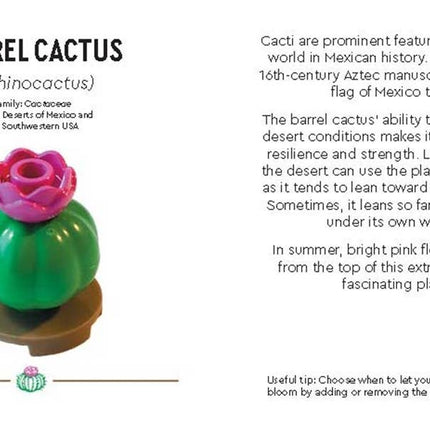 LEGO® Botanicals™: Tiny Desert Garden Book - Gardening Gift