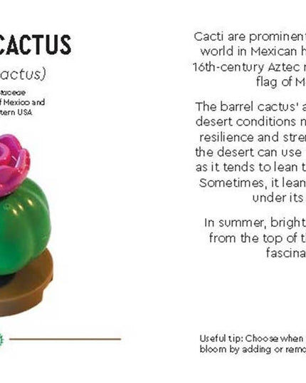 LEGO® Botanicals™: Tiny Desert Garden Book - Gardening Gift