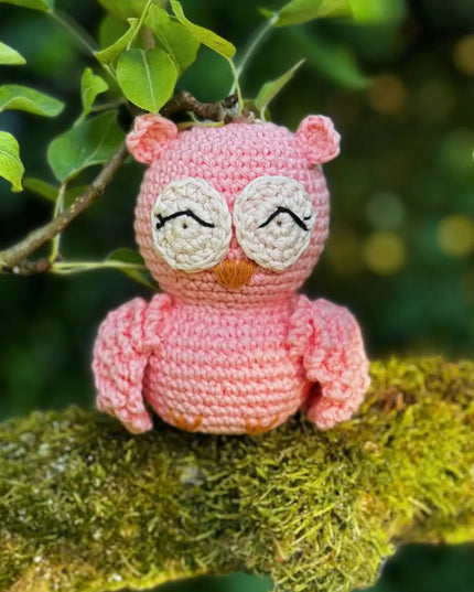 Knitty Critters - Pouch Pals - Oliver Owl