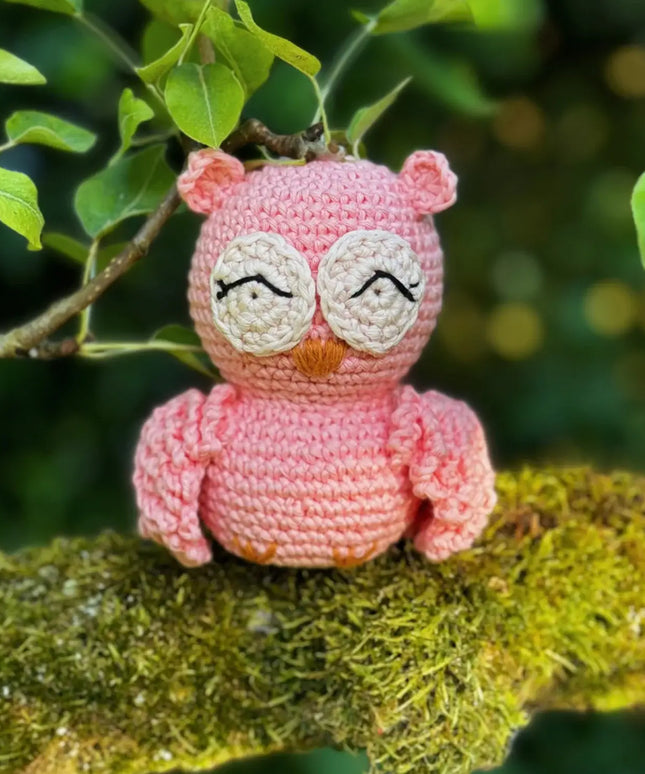 Knitty Critters - Pouch Pals - Oliver Owl