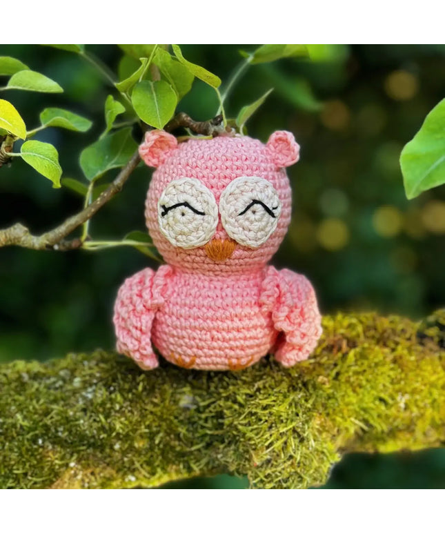Knitty Critters - Pouch Pals - Oliver Owl