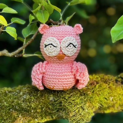 Knitty Critters - Pouch Pals - Oliver Owl - The Red Squirrel