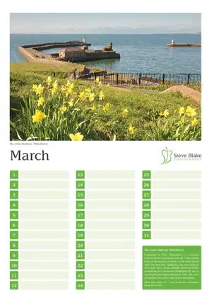 Calendar page for March with a scenic image of a coastal view and yellow flowers.