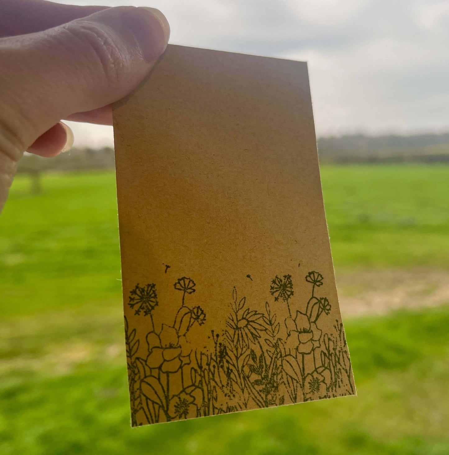 Wildflower Seeds - Seed Packet - Mix Flower Pattern